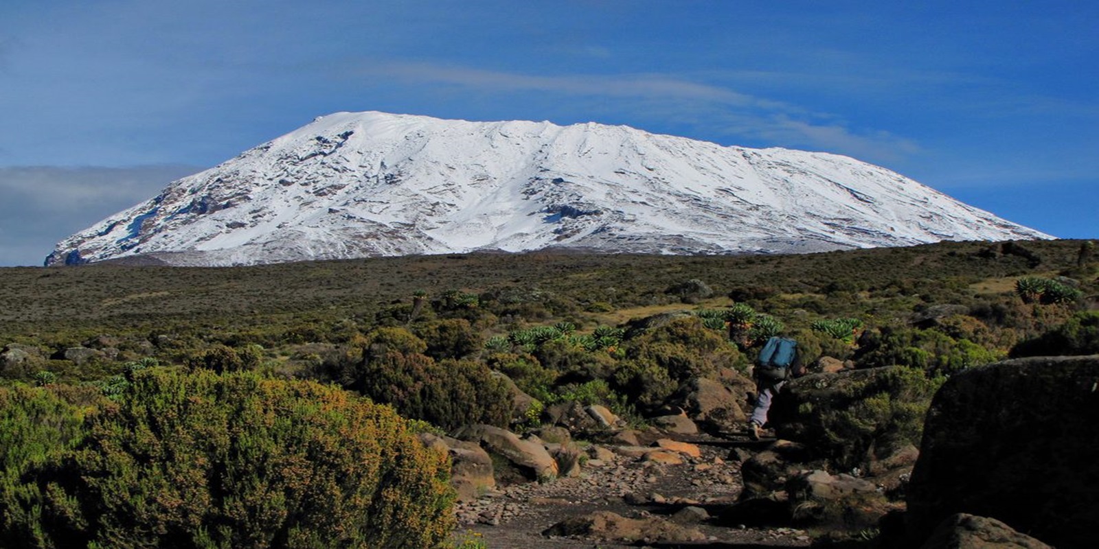 Why Kilimanjaro Trekking.?